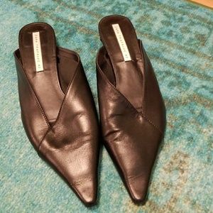 Sexy Pointy Zara Mules